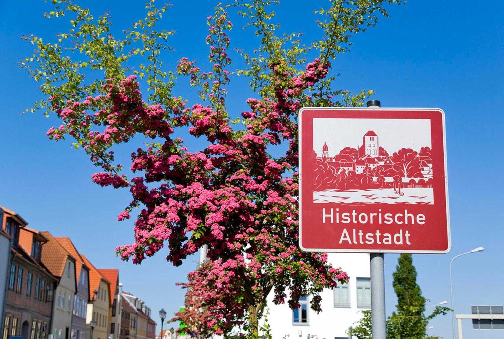 Ferienwohnung Am Muehlenberg Варен Экстерьер фото